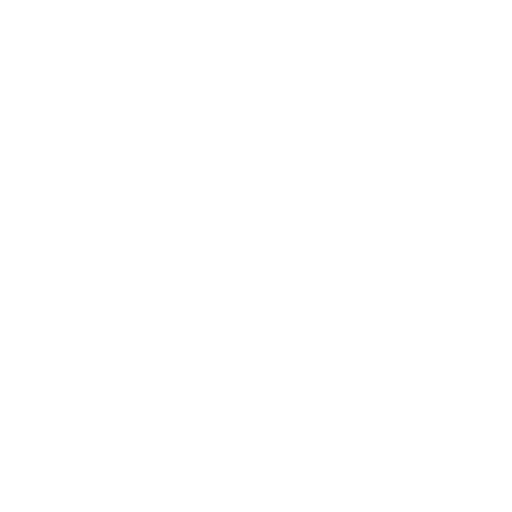 Algorei Logo